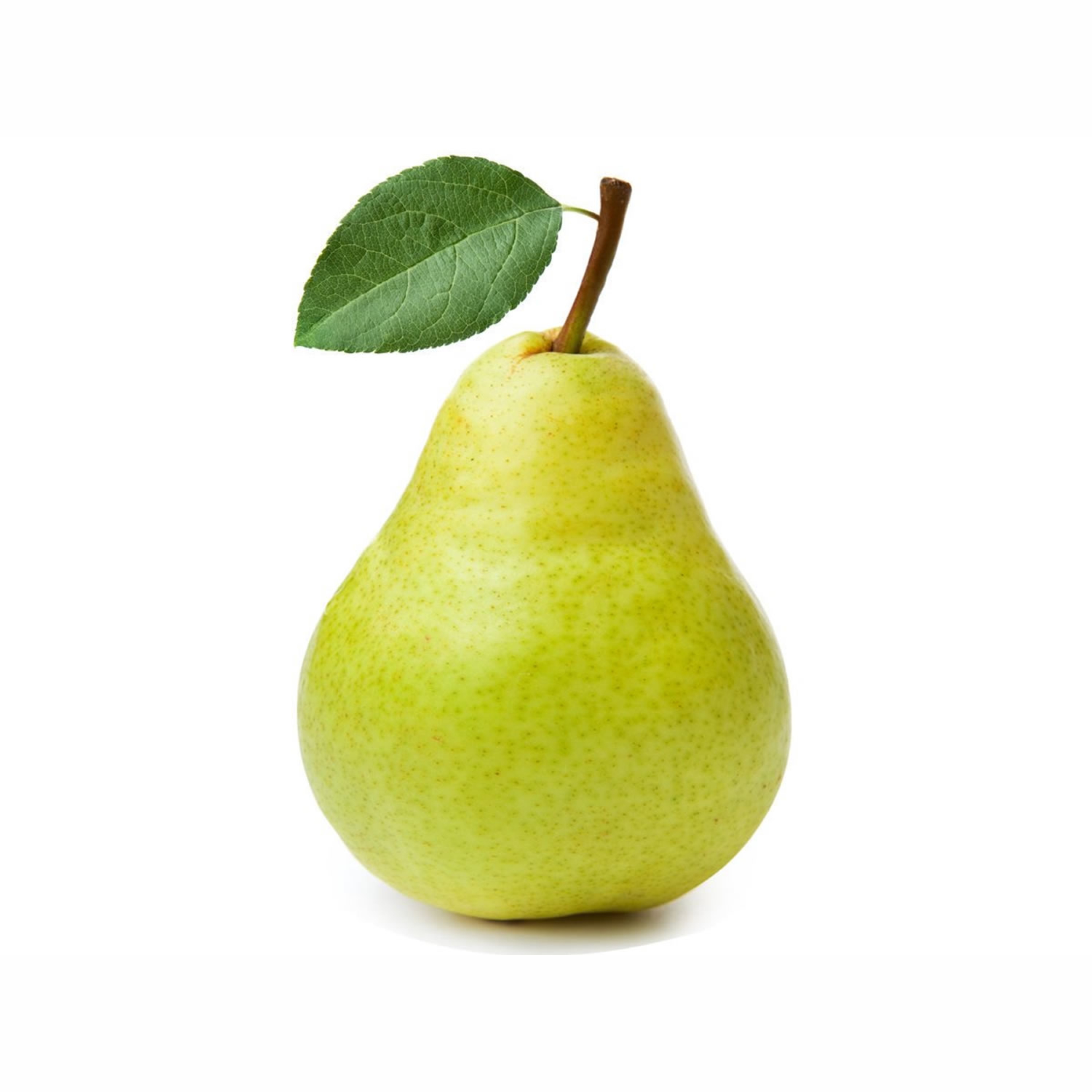 English Pear x5