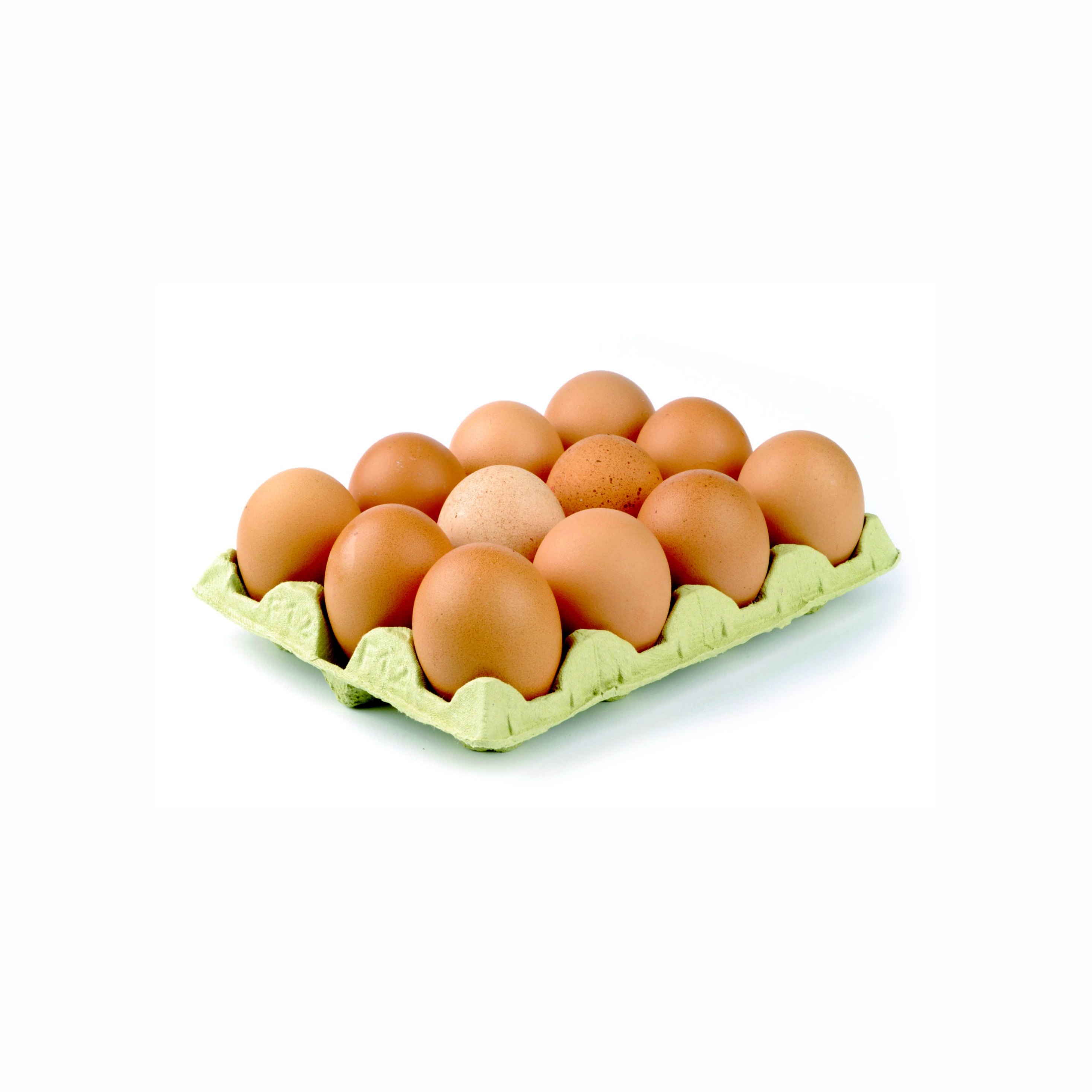 Ivanna Eggs x12