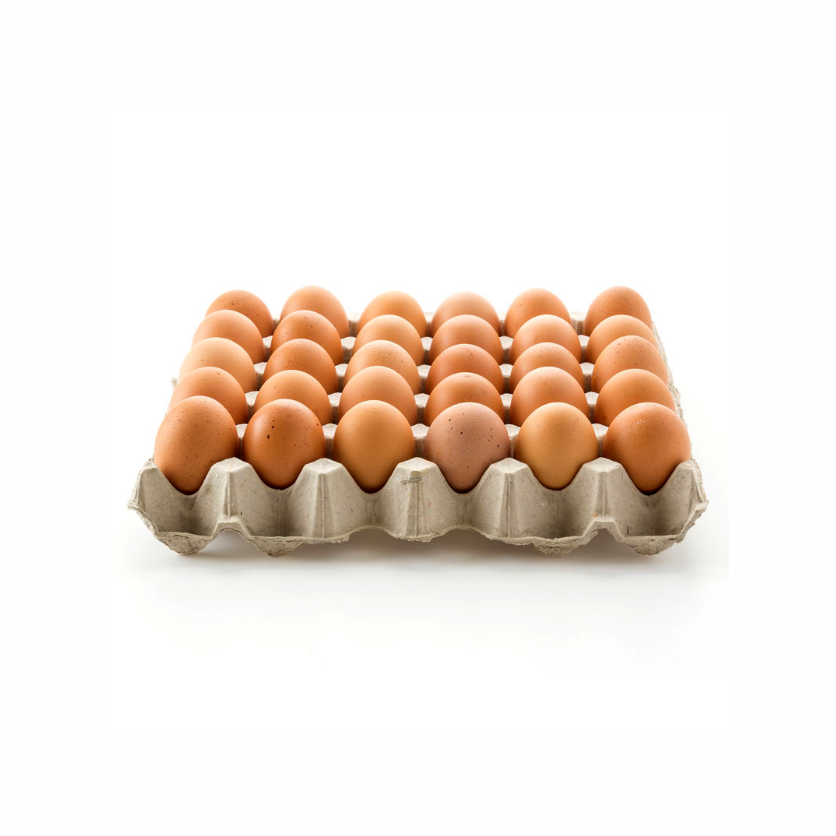 Ivanna Eggs x30